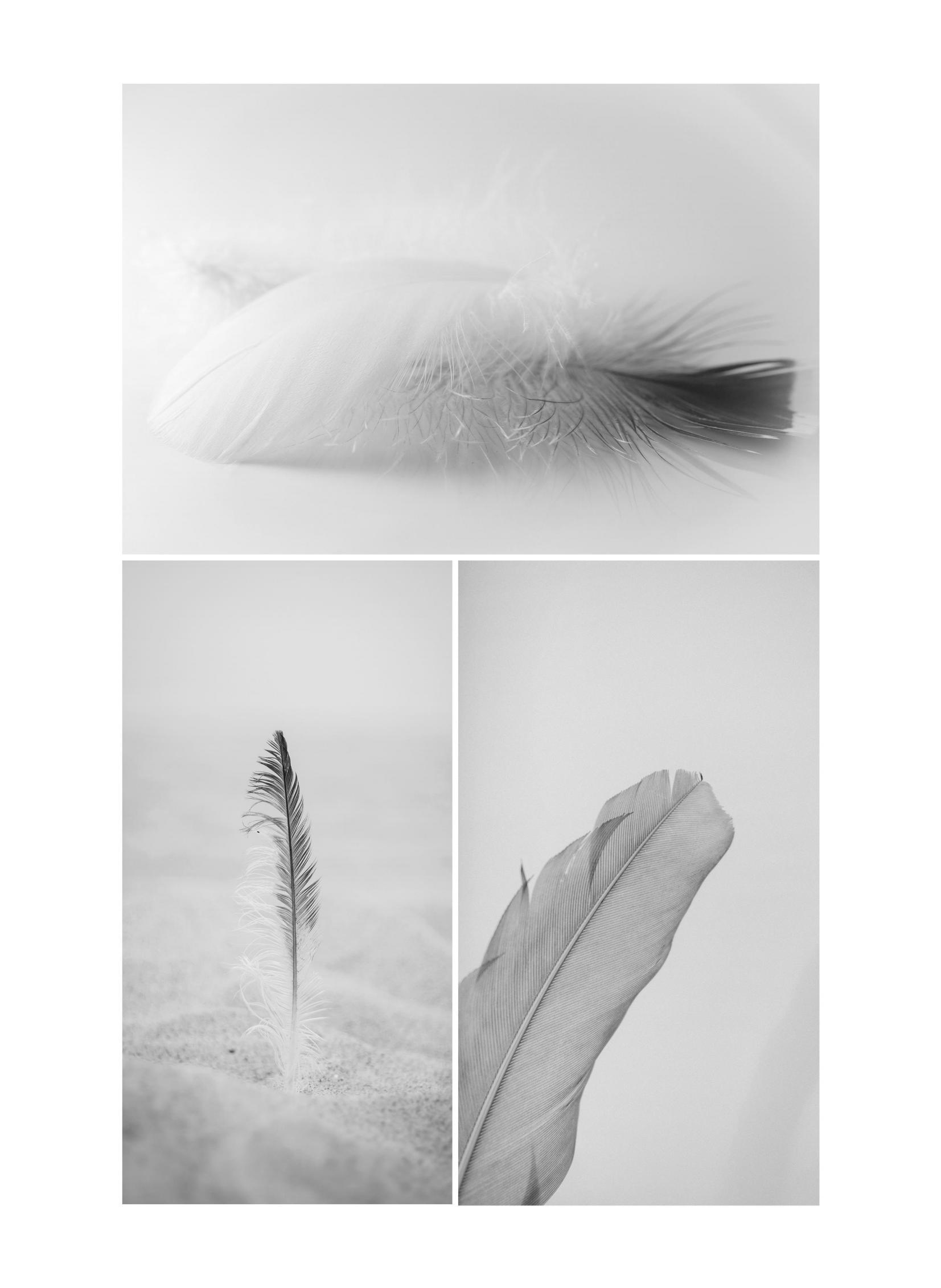 M.ORO CASHMERE LITHE