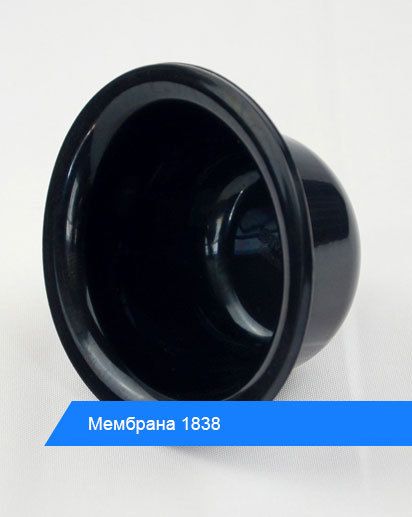Мембрана 1838