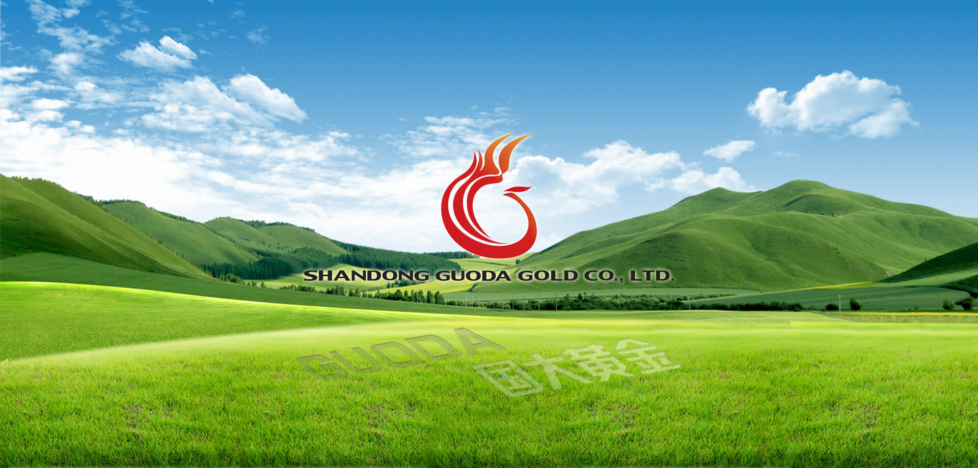 Shandong Guoda Gold