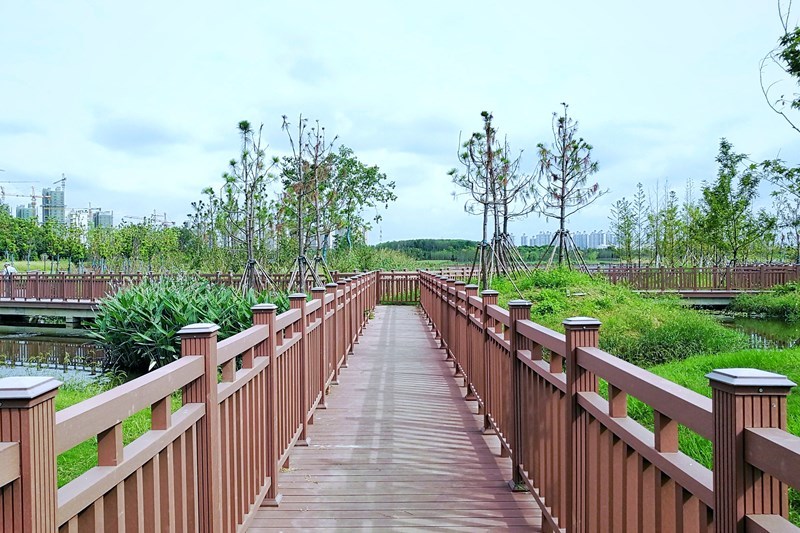 Valla de plástico de madera
