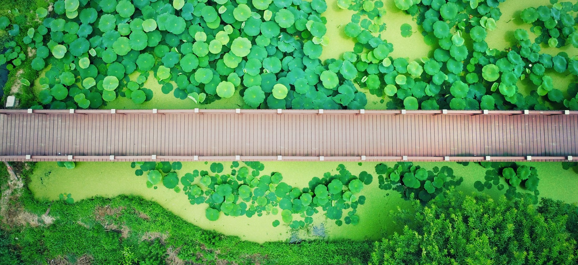 Protección ecológica y ambiental, el plástico de madera reemplaza la madera en bruto