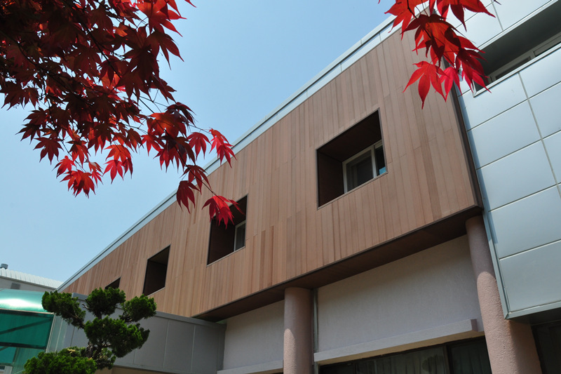Exterior WPC Wall Siding