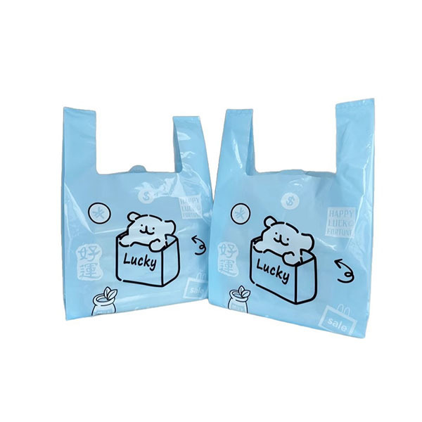 Portable convenient bag