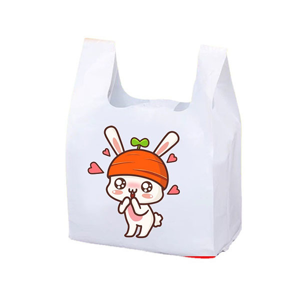 Portable convenient bag
