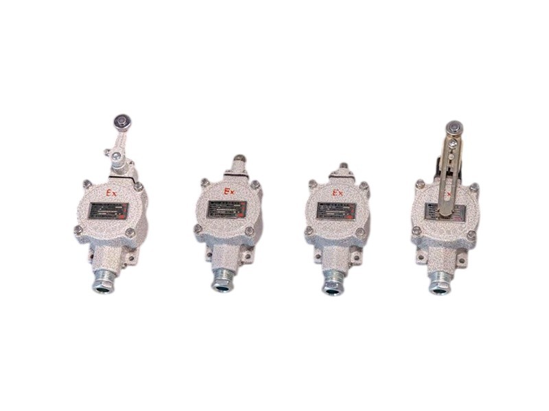 BLX Series Explosion-Proof Limit Switch