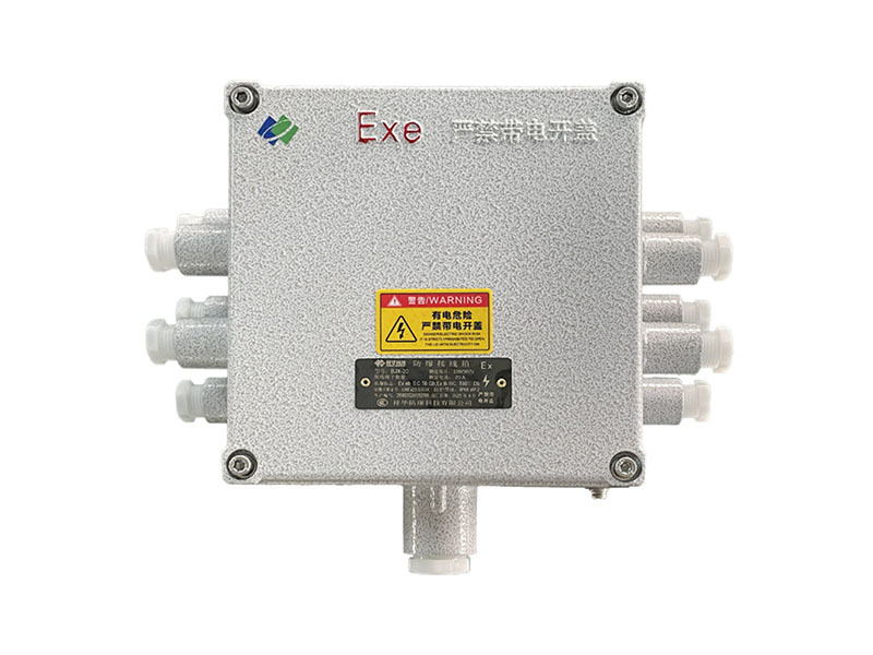 BJX-20 Explosion-proof Junction Box