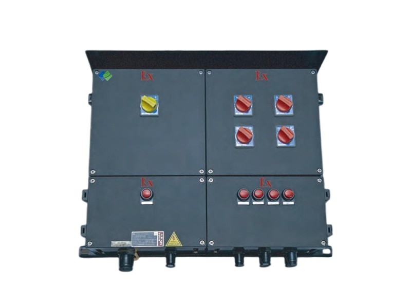 BXM(D, X)8030 Series Explosion-Proof and Corrosion-Resistant Power Distribution Device