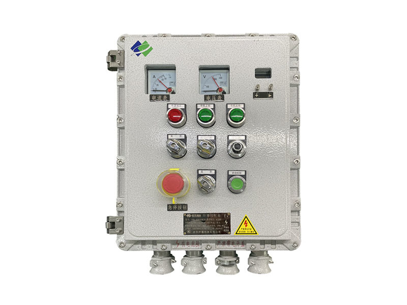 BXK-A2B3D3K2R1 Explosion-Proof Control Box
