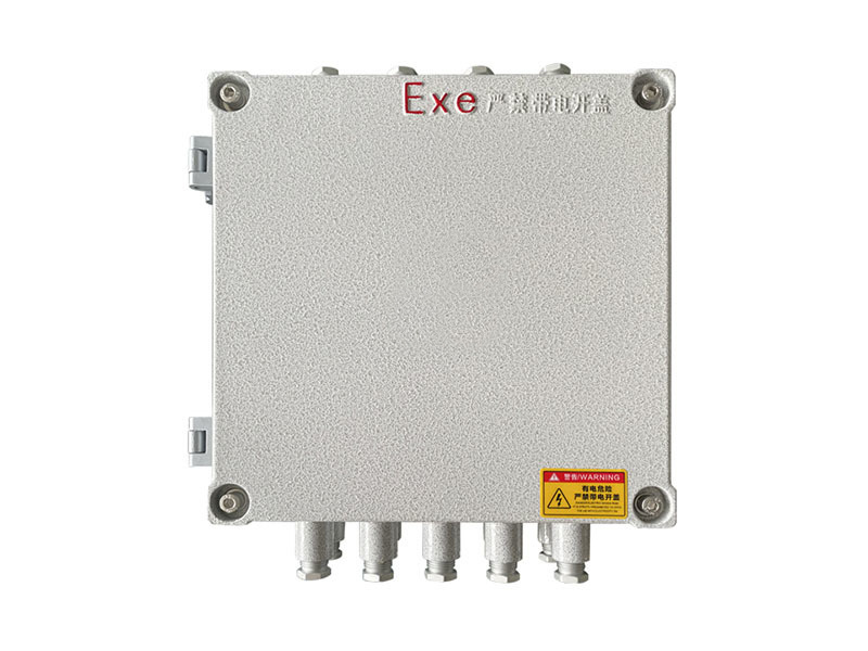 FXM Waterproof, Dustproof, and Corrosion-Resistant Distribution Box