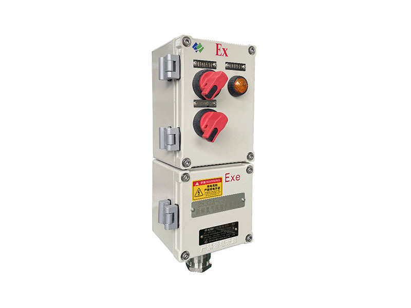 LBZ81-D1K2G Explosion-Proof Control Column