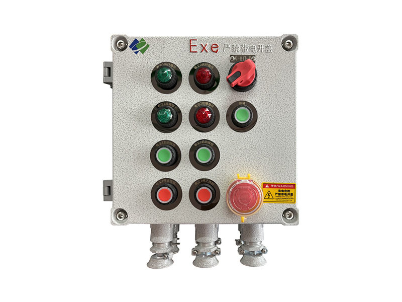 LBZ81-A6D4K1G Explosion-Proof Control Column