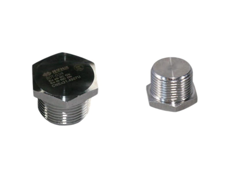 BDT Series Explosion-Proof Plug