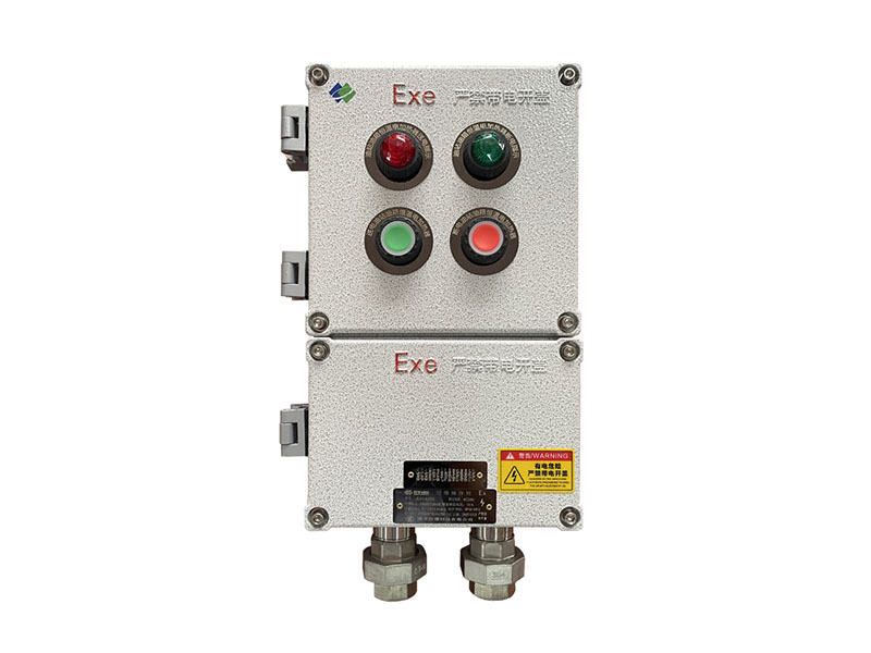 LBZ81-A2D2L Explosion-Proof Control Station