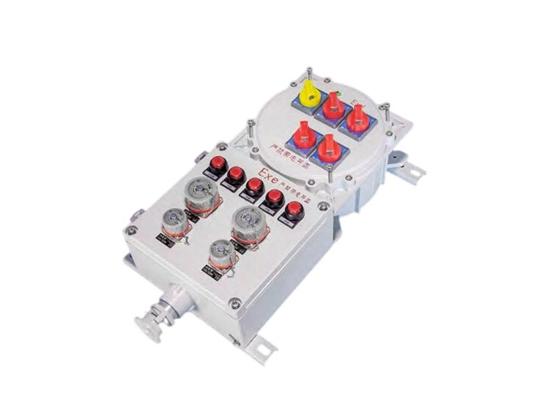 BXX-□ Series Explosion-Proof Maintenance Power Distribution Device