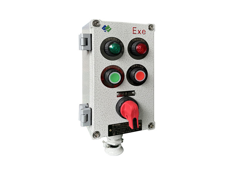LBZ81-A2D2K1G Explosion-Proof Control Column