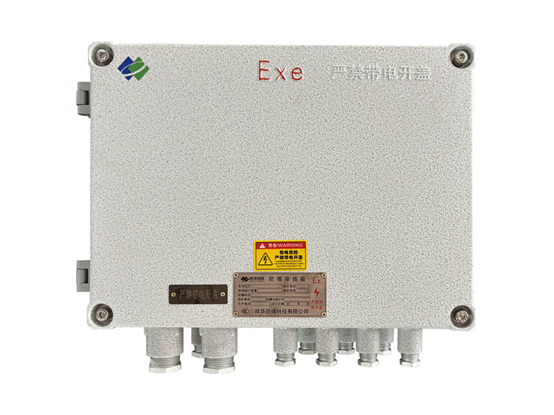 BJX-20(60) Explosion-proof Junction Box