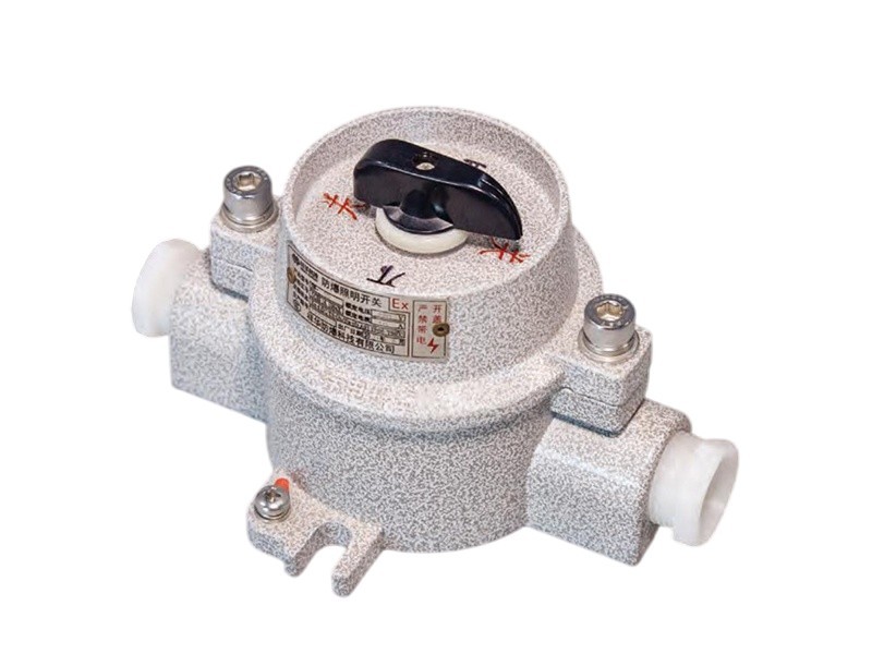 SW Series Explosion-Proof Lighting Switch