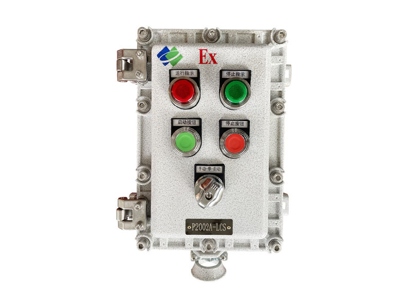 BXK-A2D2K1 Explosion-Proof Control Box
