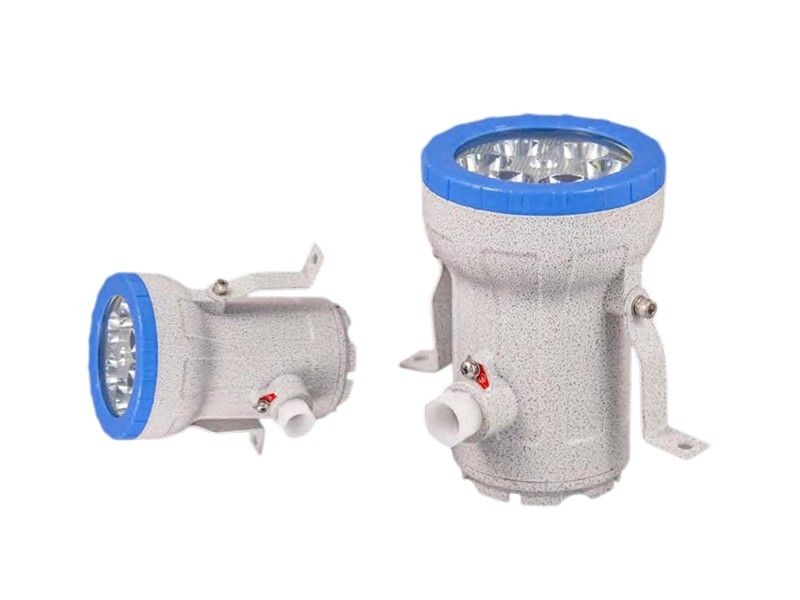 ABSg Series Explosion-Proof Sight Glass Light