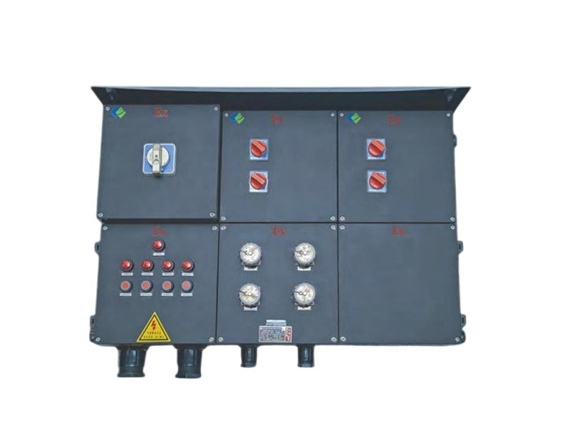 BXX8030 Series Explosion-Proof and Corrosion-Resistant Maintenance Power Distribution Device