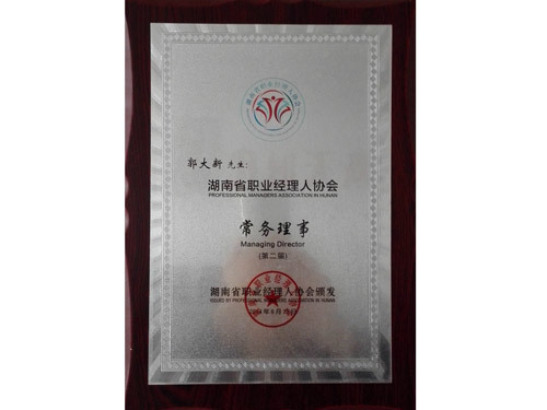 湖南省職業(yè)經(jīng)理人協(xié)會常務(wù)理事