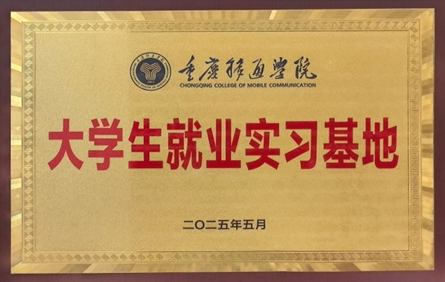 大学生就业实习基地
