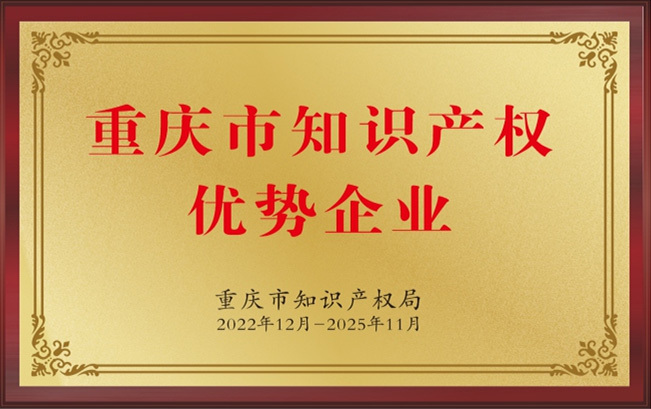 重庆市知识产权优势企业