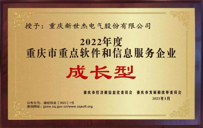重庆市重点软件和信息服务企业成长型