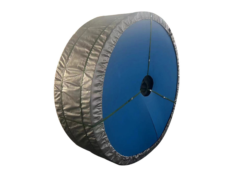 HEAT-RESISTANT CONVEYOR BELT