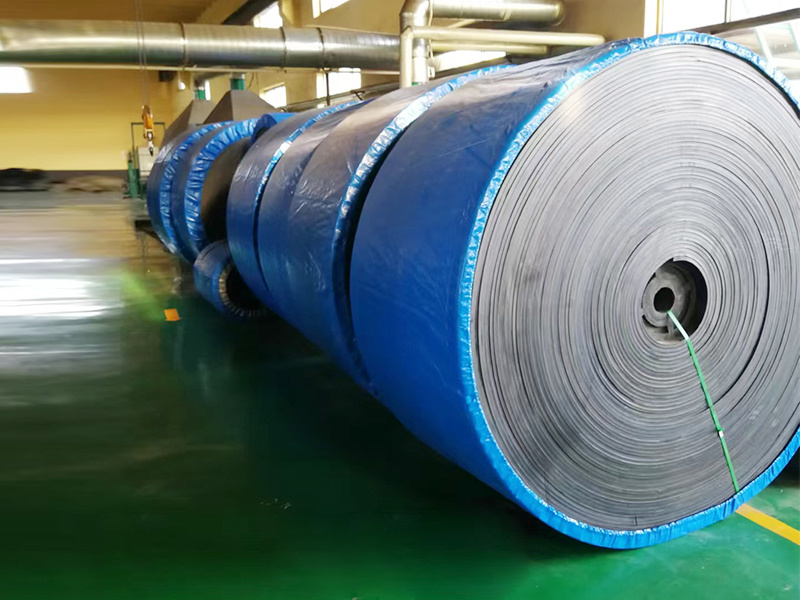 NYLON CONVEYOR BELT