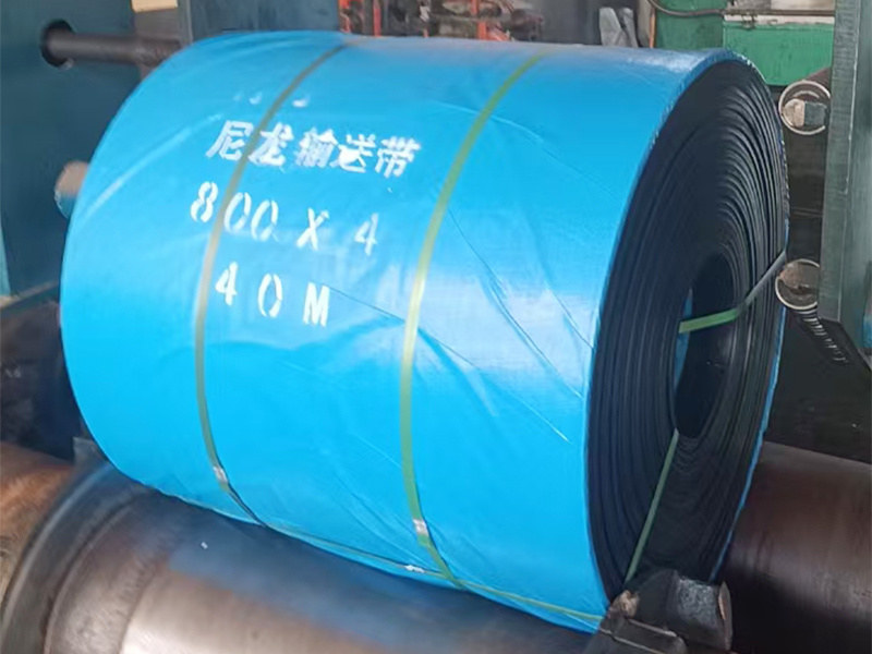 NYLON CONVEYOR BELT