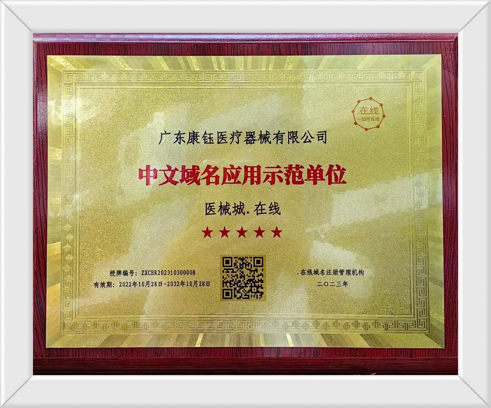 Demonstration unit for Chinese domain name application Demonstration unit for Chinese domain name application