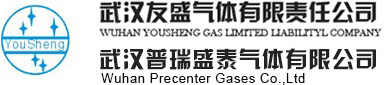 武漢友盛氣體有限責任公司