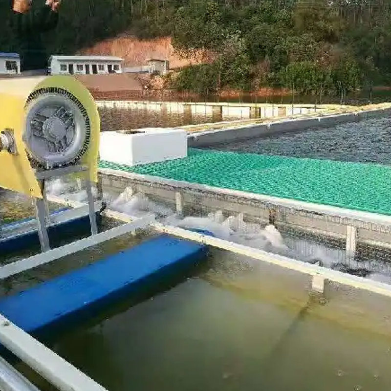 FRP Grating For ETP STP Plants