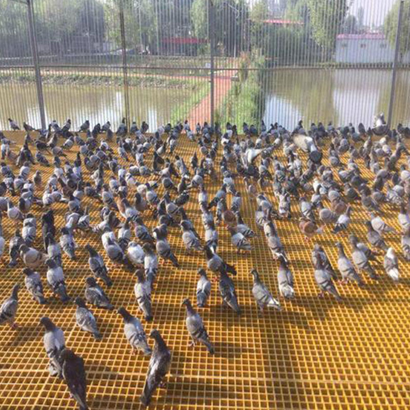 FRP Mini Mesh Grating for breeding