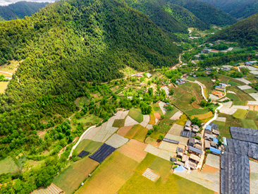 巴珠村