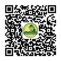 Wechat Official Account