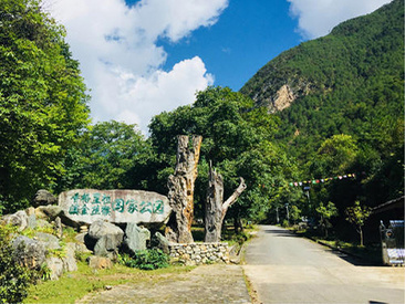滇金丝猴国家公园