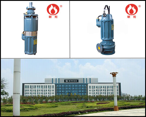 江西省能源集團公司在朝陽(yáng)采購一批BQW礦用潛水泵