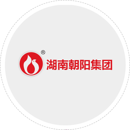 湖南朝陽(yáng)電機泵業(yè)集團有限公司