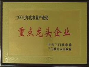 2007重点龙头企业