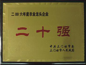 2006年农业龙头企业二十强