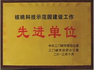 示范先进单位