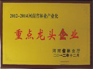 2012-2014重点龙头企业