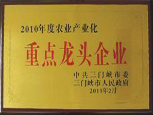 2010年度重点龙头企业