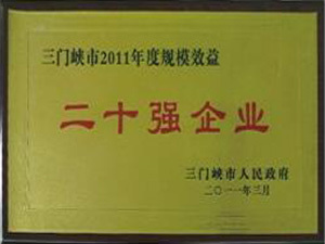 2011年二十强企业