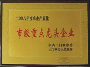 2008市级重点龙头企业