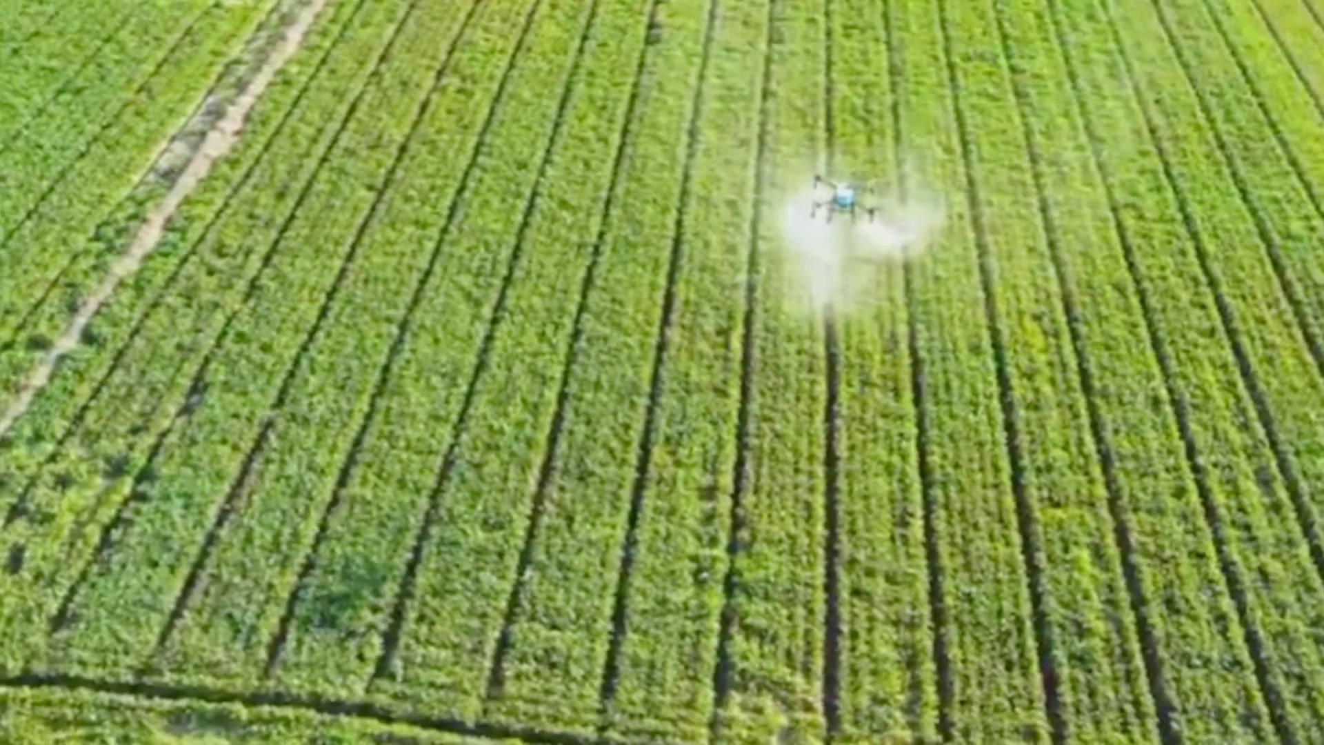 AD50 Agricultural Drone