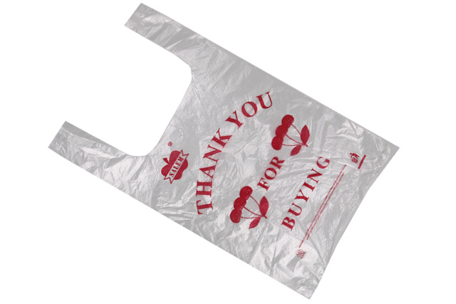 Transparent vest bag