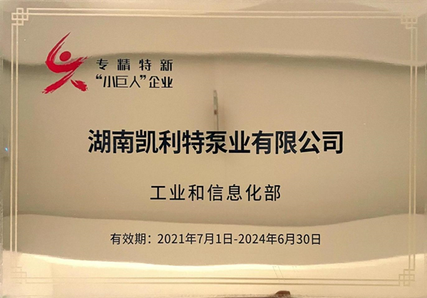 国家级专精特新“小巨人”企业